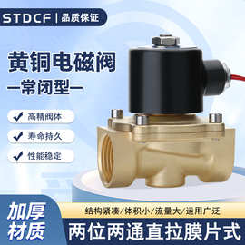 实力商家2WWC-15 4分 6分 一寸水阀AC220V DC24V 铜管黄铜电磁阀