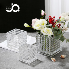 Nordic light luxury glass vase square tank brilliant hydroponic white orchid and pothos flower arrangement decoration living room coffee table desk transparent