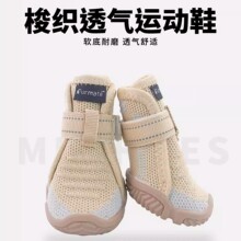 ����Ь���NȮ�����m͸�⌙������\��Ьħ�g�N�����״�Ó�S��ֱ�N
