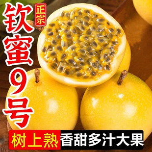 �J��9̖�S���������rˮ��5����]��������������SƤ�����S���