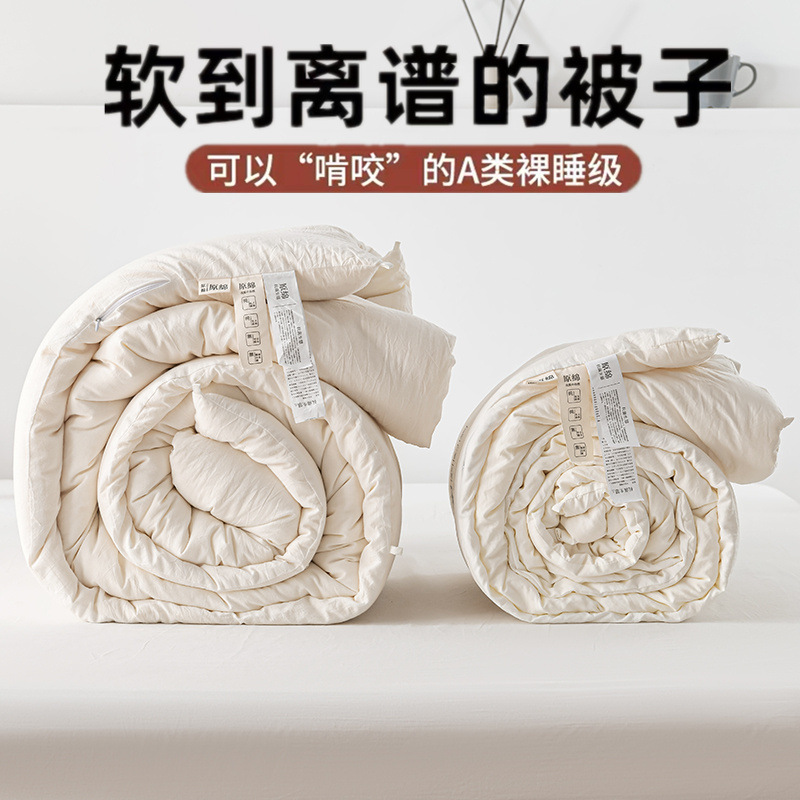 Class A raw cotton soy fiber quilt double spring and autumn quilt knitted cotton Japanese soybean winter quilt gift quilt wholesale