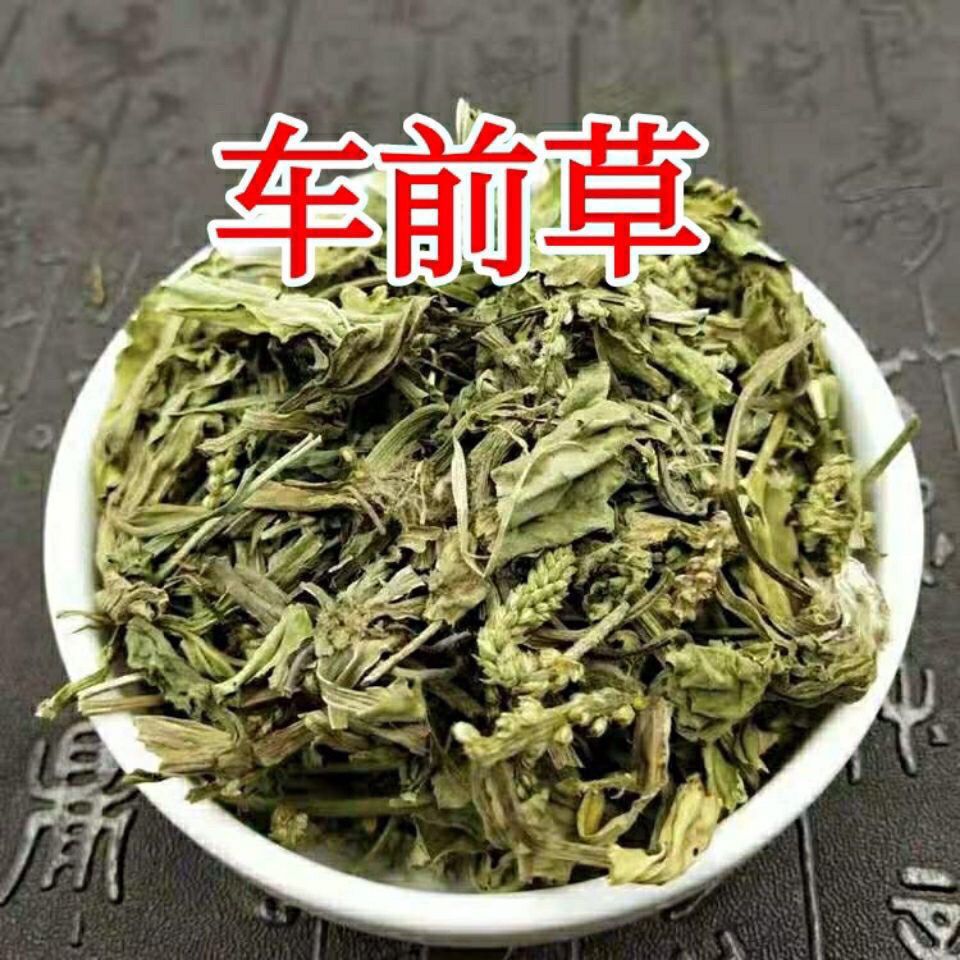 Dried Plantain Herb Che Qian Cao 500g Sliced Whole Herb for Herbal Tea and Decoction overview