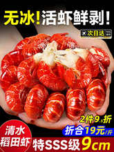 大号龙虾尾冷冻鲜活小龙虾无冰衣龙虾尾特级虾球鲜冻批发生鲜箱A3