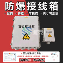 防爆接线箱 阴极保护阳极汇流箱 阳极地床汇流接线箱 阴极分线箱