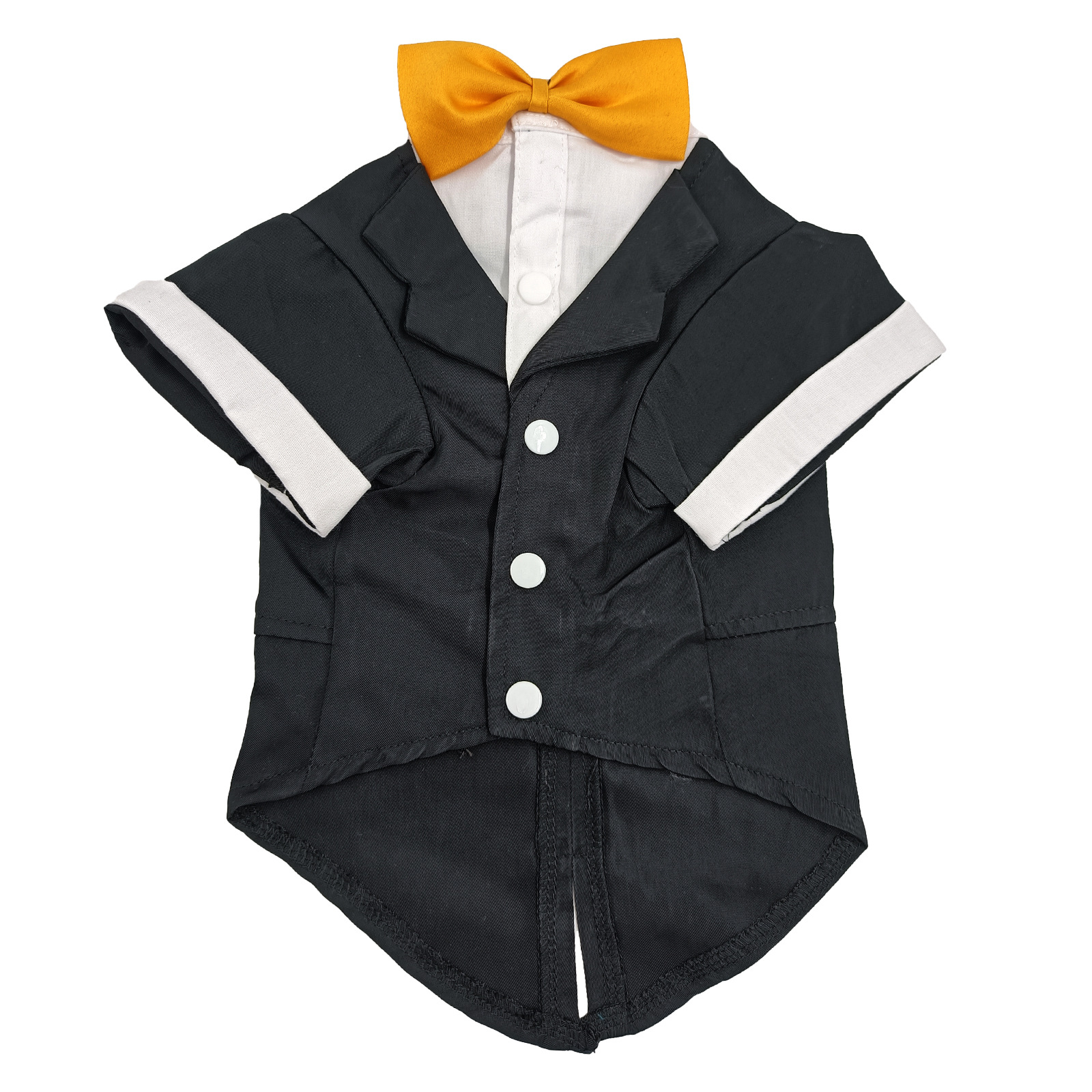 黄色领结平铺正面