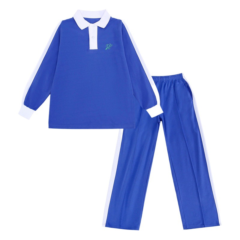 Shenzhen School Uniforms for Boys and Girls, Autum Sports Suits, Pure Cotton Long-Sleeved Tops, Sports Pants, Shenzhen Primary School Uniforms