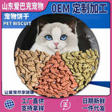 OEMӹ؈С~؈ĥʳɢb؈ʳ؈Z