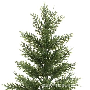 �羳С��45cm�}�Q�� �°ؘ� ����ֲ������ɼ���҃��b��ɰؘ�