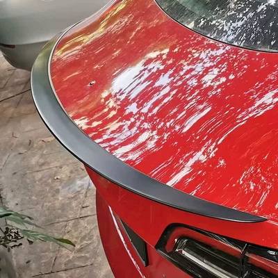 Fixed wind wing P Model Painted Blow-Molded Rear