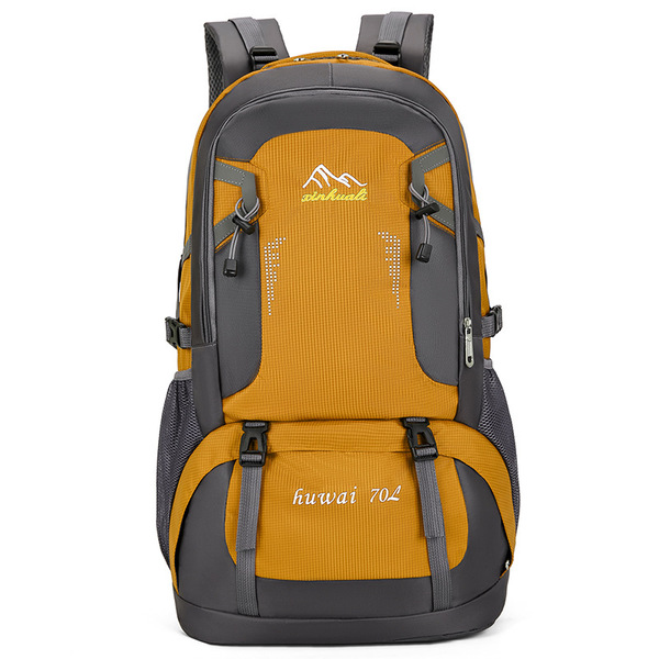 capacious backpack for traveling