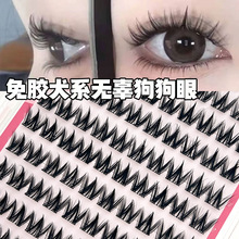 �ٽ�ëȮϵ��Ȼ���ܼٽ�ë�������������۷ֶ�ʽ���z�o���ٽ�ë