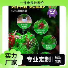 �~��ˮ��ֲ����쾰�[��ȫ�����ˮ��Gֲ�b�����ˮ��ˮ��