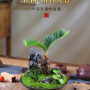 �F�䄓�������辰����΢��ɽˮ�����҃��^�~�Gֲ�K�F�k���ҿ͏d�o