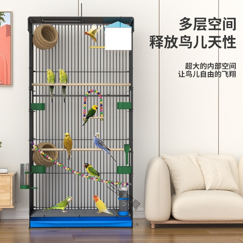 ebbfb0f8-b062-4100-b3f0-f6cd525a083e.jpe