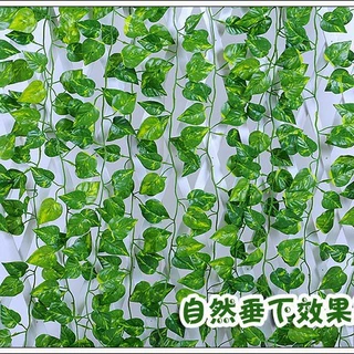 仿真72片爬山虎装饰假树叶绿叶绿萝叶藤条吊顶叶子植物花藤批发