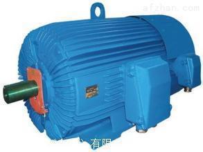 Cantoni交流电机安装说明