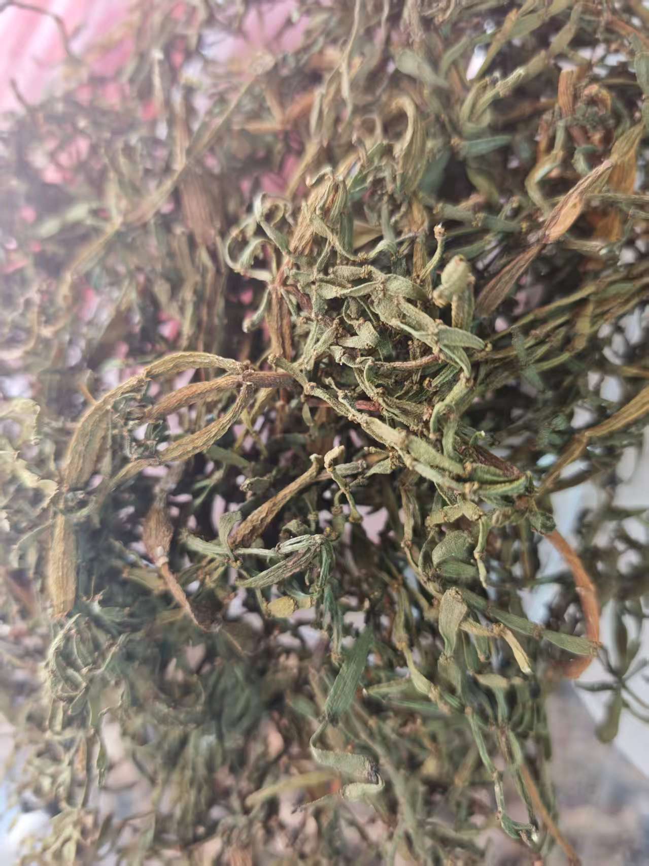 Pang Xie Jiao (Viscum articulatum) — Wild Yunnan Ancient-Tree Herbal Tea Twig, 100g specifications