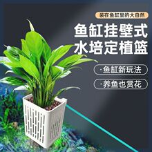 鱼缸水培定植篮鱼缸家用水草种植壁挂水植物定植篮鱼缸花盆水养