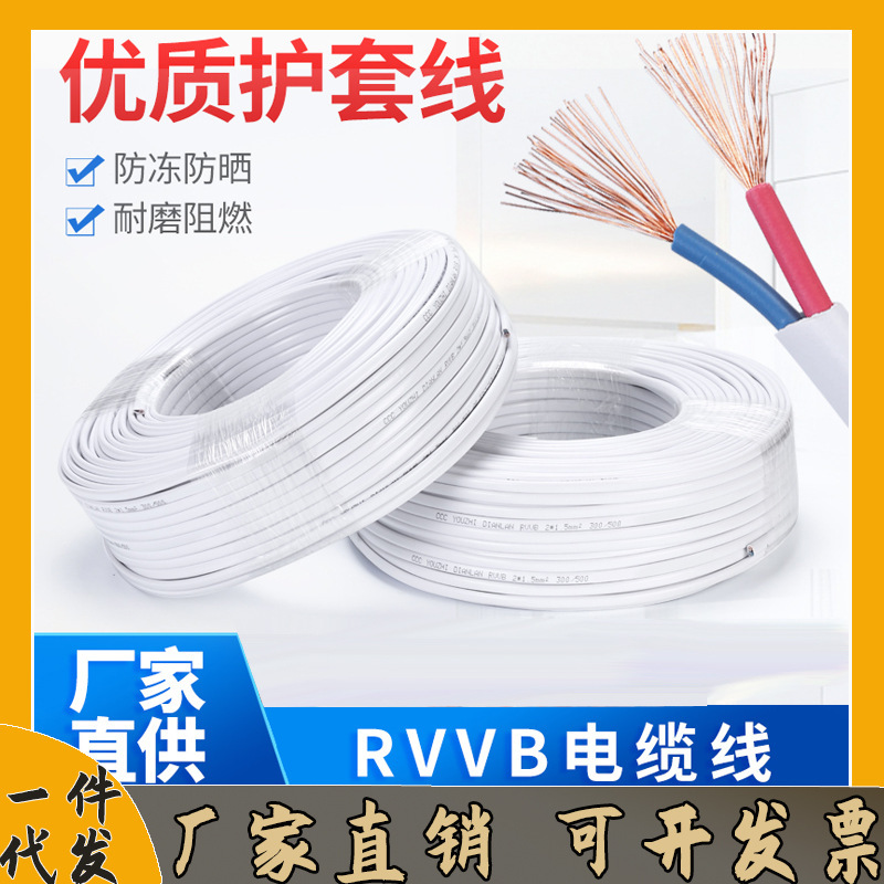 Rvvb White/Black Sheathed Indoor and Outdoor Electrical Wire 2-Core Household Socket Electric Vehicle Charging Wire 0.5/0.75 Square Meters