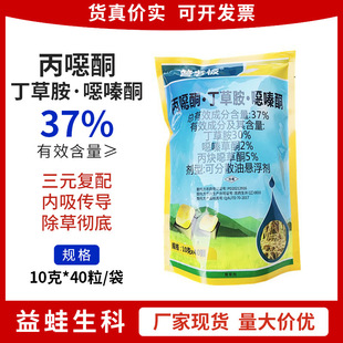 ���ϰ� ���ݰ� �fາ�ͪ ��Ȳ�f��ͪˮ������������ѿǰ��س���