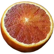 四川資中塔羅科血橙新鮮水果現摘紅肉橙子手剝橙超甜水果包郵