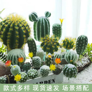 ����������[���b�С���滨�������Ʋ廨�쾰���Ԅ����ĔzӰ����