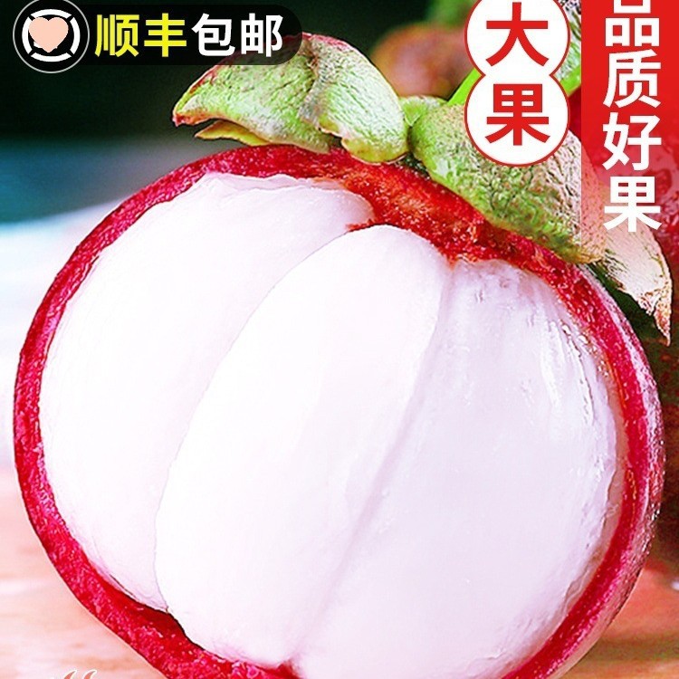 Taishan bamboo fresh large fruit 5 jin seasonal tropical fruit whole box pregnant seasonal imported oil bamboo 5a direct sale