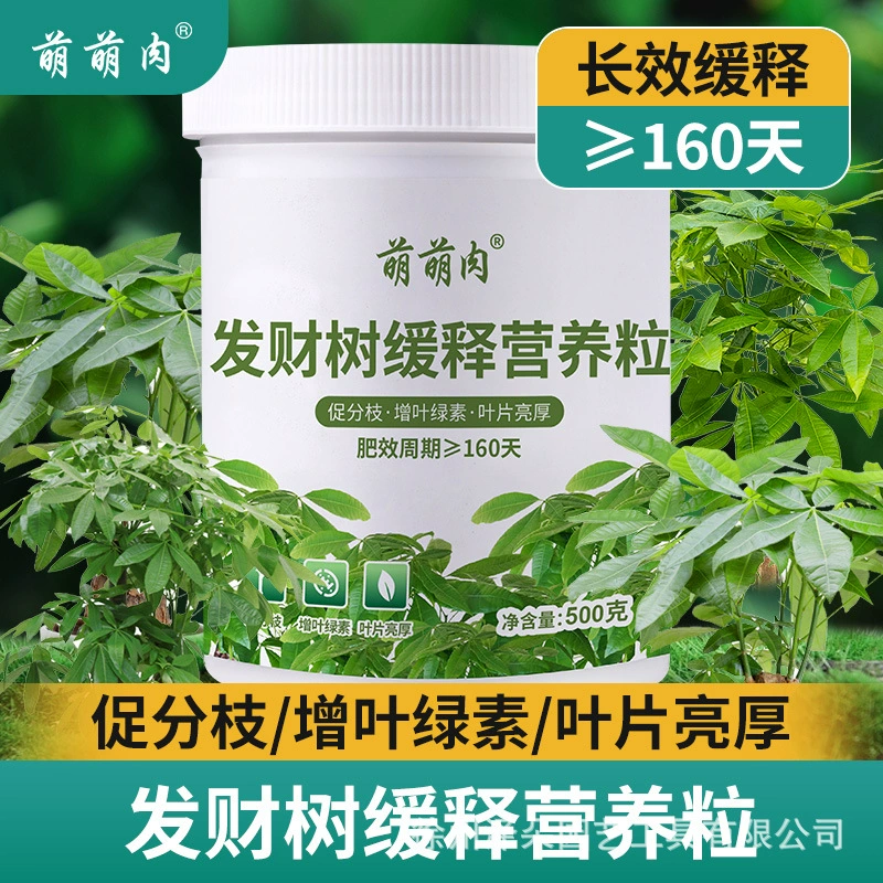 Дерево богатства с медленным высвобождением питательных частиц