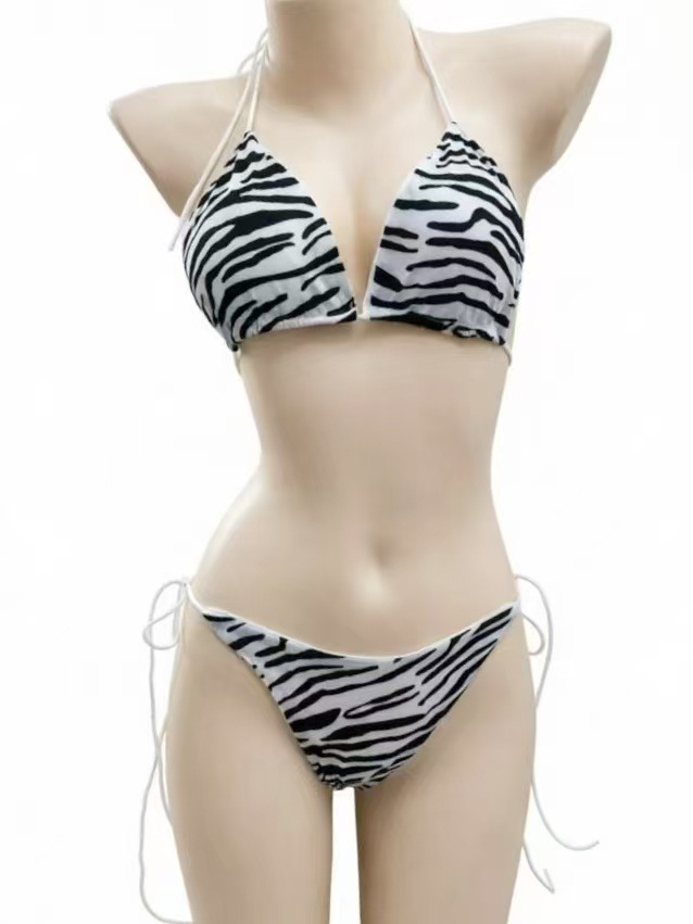 微信图片_20260304193439_5821_2