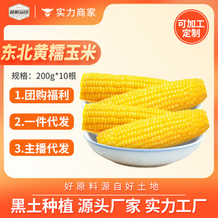 ����|���SŴ����10���θ����b�S����