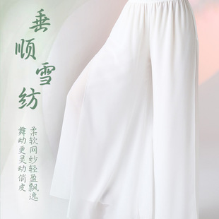 Fengti Double-Layer Chiffon Slit Wide-Leg Dance Pants for Women, Loose Fit, Slimming, Classical Practice Pants, Wide-Leg Pants