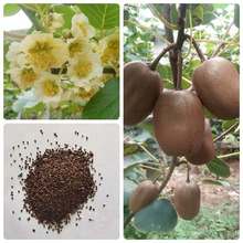 JҷNľNчaɢbļ侰^G^~N