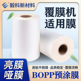 佛山毅科数码bopp预涂膜超粘抗刮热覆热裱膜包装做样覆膜机专用
