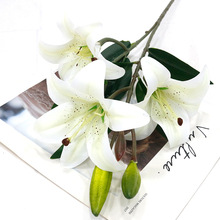 õ��ܛ�z3��3�ٴ�ٺϷ��滨�Ҿ�ܛ�b��c�bٻ� ��c���滨��