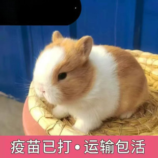 С���ӻ���٪�����L��������С�͹������m�����ò豭�ü��B������