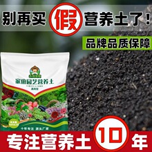 ͨ���͠I�B�����l�N�˻���������ᘷNֲ�����ԷN�ˌ��È@ˇ������