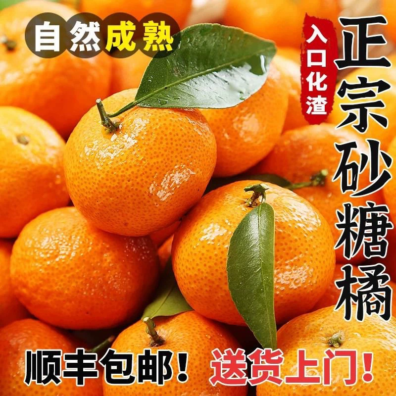 SF Express Бесплатная доставка Аутентичные сахарные мандарины Гуанси Свежесобранные фрукты Свежие сезонные сахарные мандарины Чистые сладкие сахарные мандарины без косточек