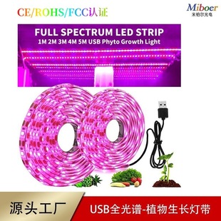 Cross-Border USB Plant Growth Lamp with 5V2835 Single Color Fill Light with Full Spectrum Waterproof Plant Lamp with Purple Light