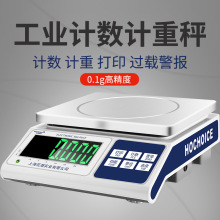 ��׼���ӳ�0.1g�߾��ȵ��Ӽ����ӿ˳�����̨��С�;��ܵ��ӳ�30kg