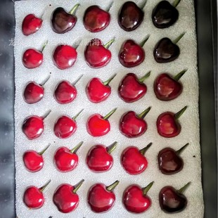 Factory-Supplied Cherry Cushioning Sponge Packaging/Cherry Cushioning Sponge Inner Support/Cherry Cushioning Sponge Lining
