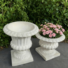 ˇ_V@͹TbNֲ ͥԺwSˮ໨S