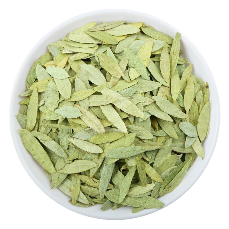 Оптовая доставка листьев сенны Новые сельскохозяйственные продукты могут быть измельчены