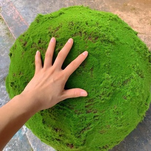 �S��ֱ�N����̦�\����̦���������̦�\��΢���^�bǷ����