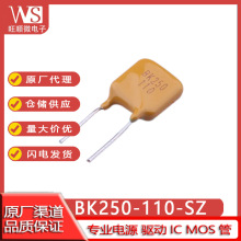 ҫBK250-800/600-SZԻ֏ͱUzBK250-180/120/110-SY