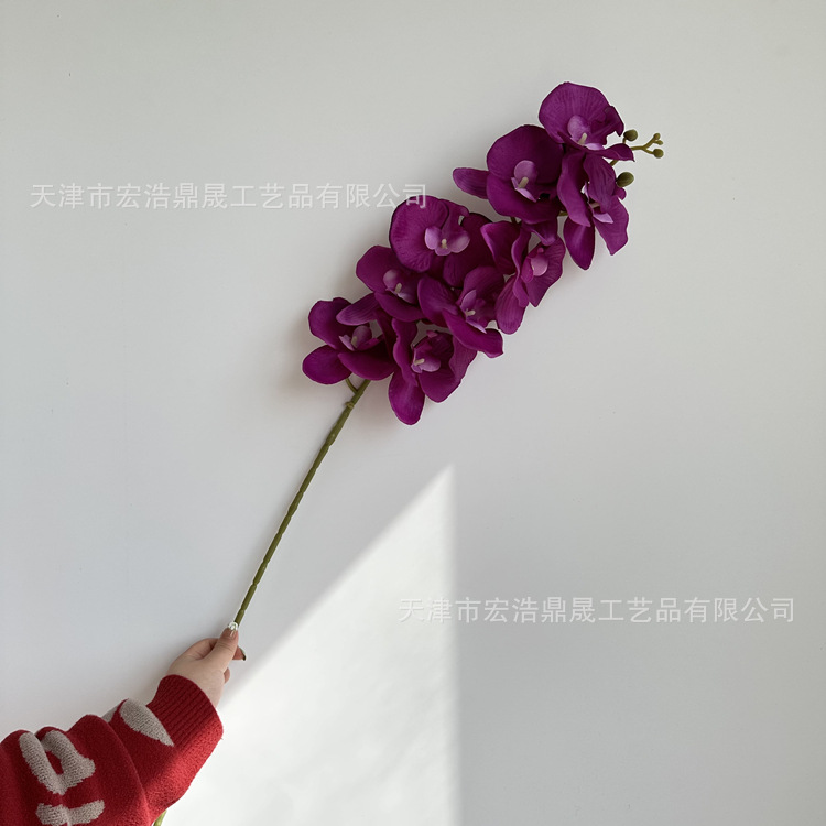 微信图片_202303031341508_副本