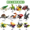 4 boxes of insect blocks
