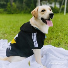 大型犬衣服金毛拉布拉多中型犬幼犬狗狗衣服卫衣秋季冬装卫衣代发