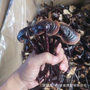 ��֦���`֥ С�`֥ ���`֥ �`֥Ƭ�����`֥��߅С�`֥���`֥��֥