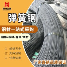 ��60SICR7����䓾��� �ߏ���60SI2MN����䓾� �ɲ������