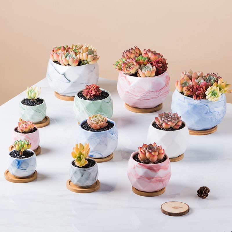 166dee63-ed72-4159-bee3-bfa5023ef001.jpe